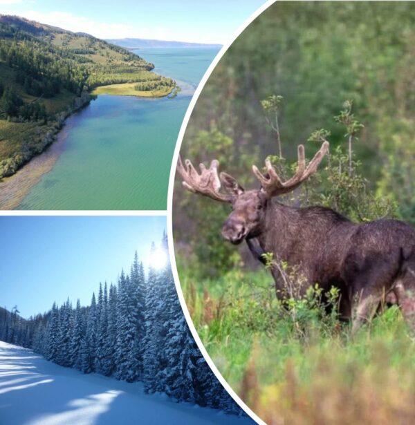 Газета "Рудный Алтай" №6 (21073) от 5 февраля 2026 года